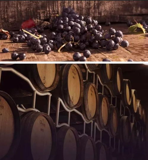 唯天賜與蒙特凡蔻紅酒 一起慶祝