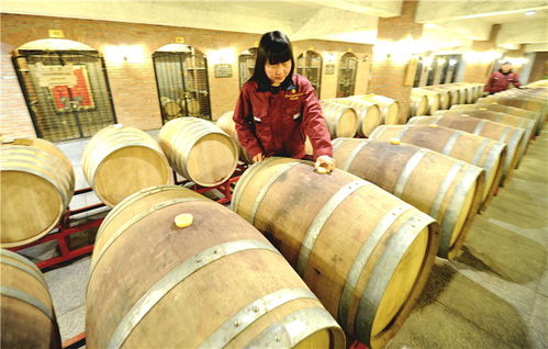 懷來(lái) 打造葡萄酒精品聚集區(qū)